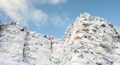 Paper and cardboard recycling bin Melbourne business